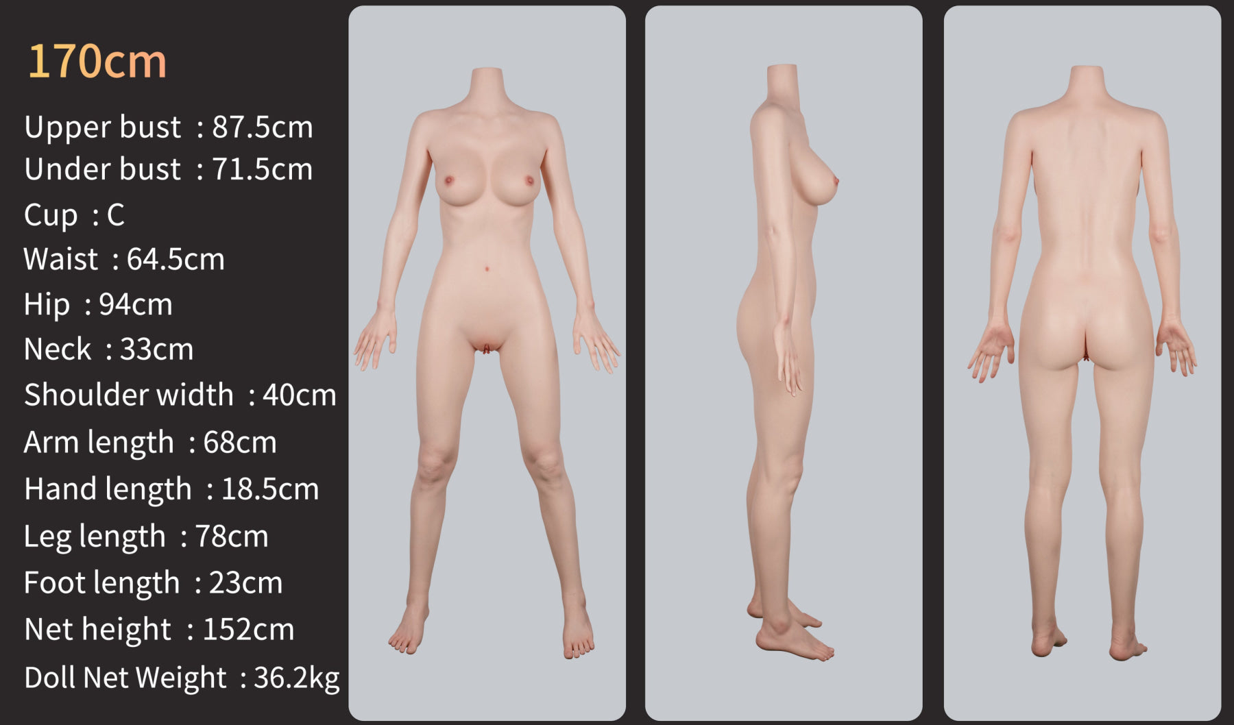 170cm_985ca59e-3492-4ce7-9268-82674883dc62