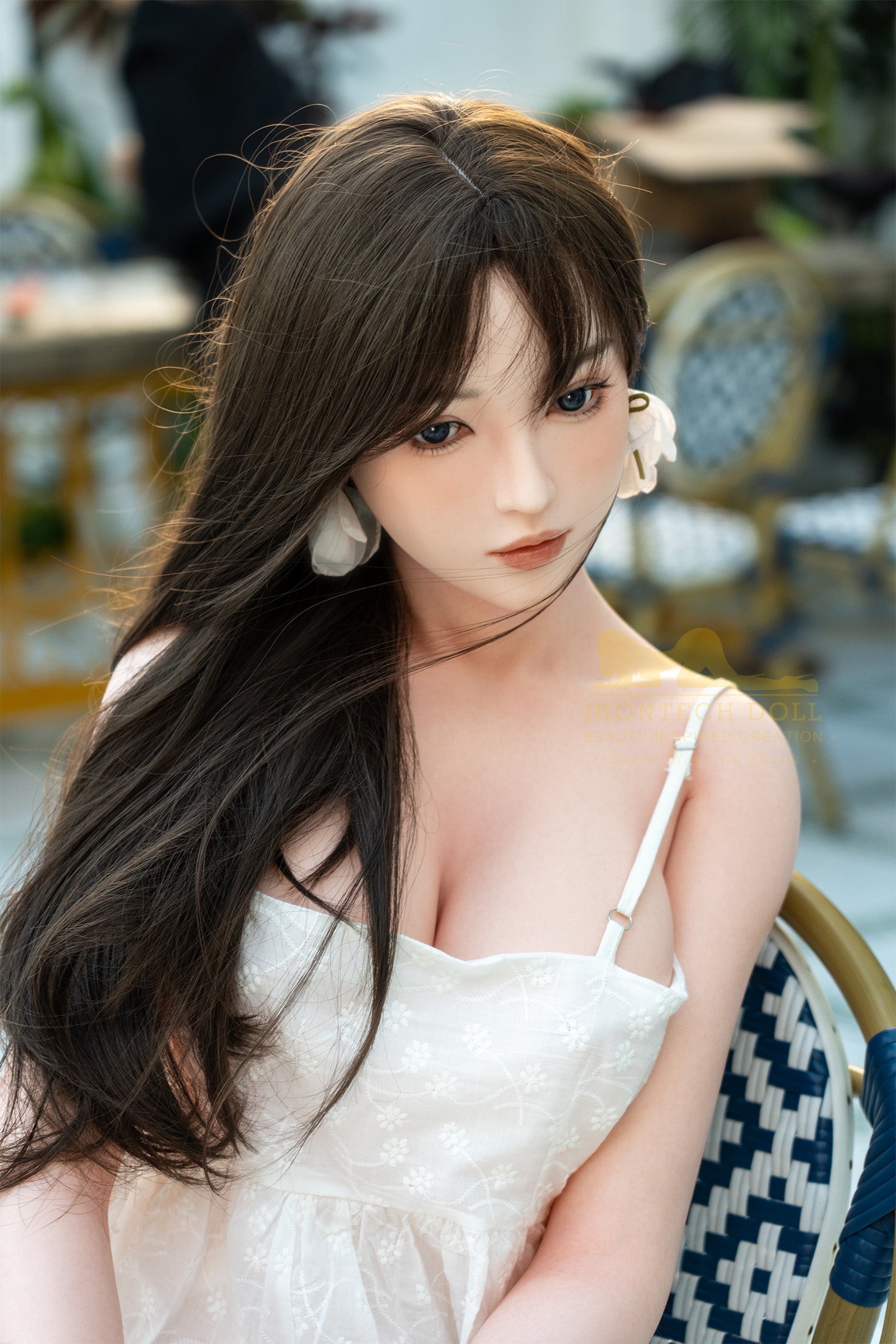 DSC02550