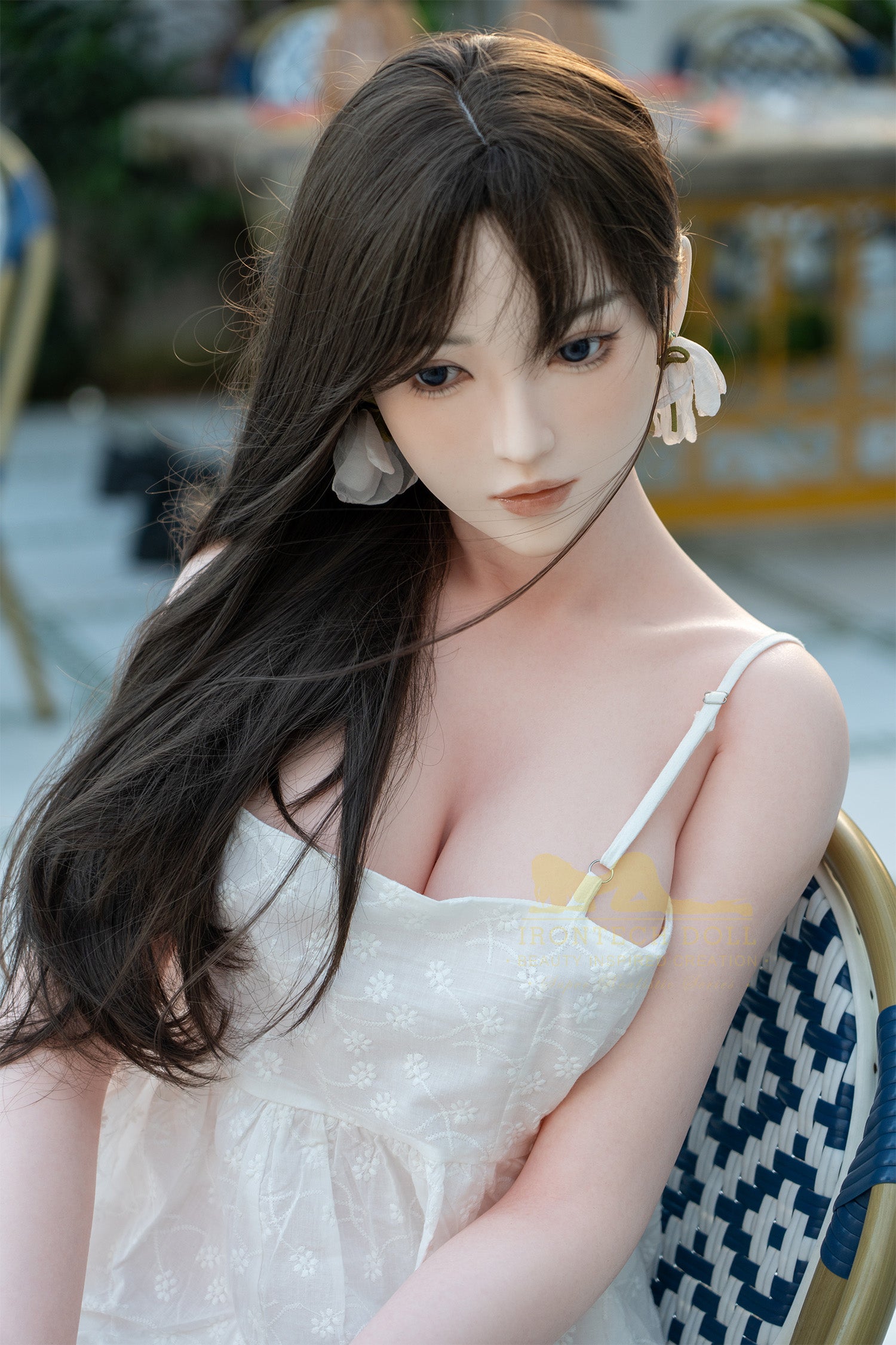 DSC02555