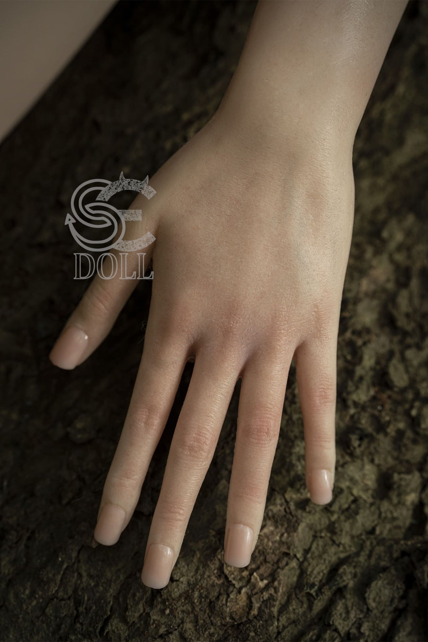 SES002-31_ff41867f-0c28-4c82-a473-e2aba62ac48c