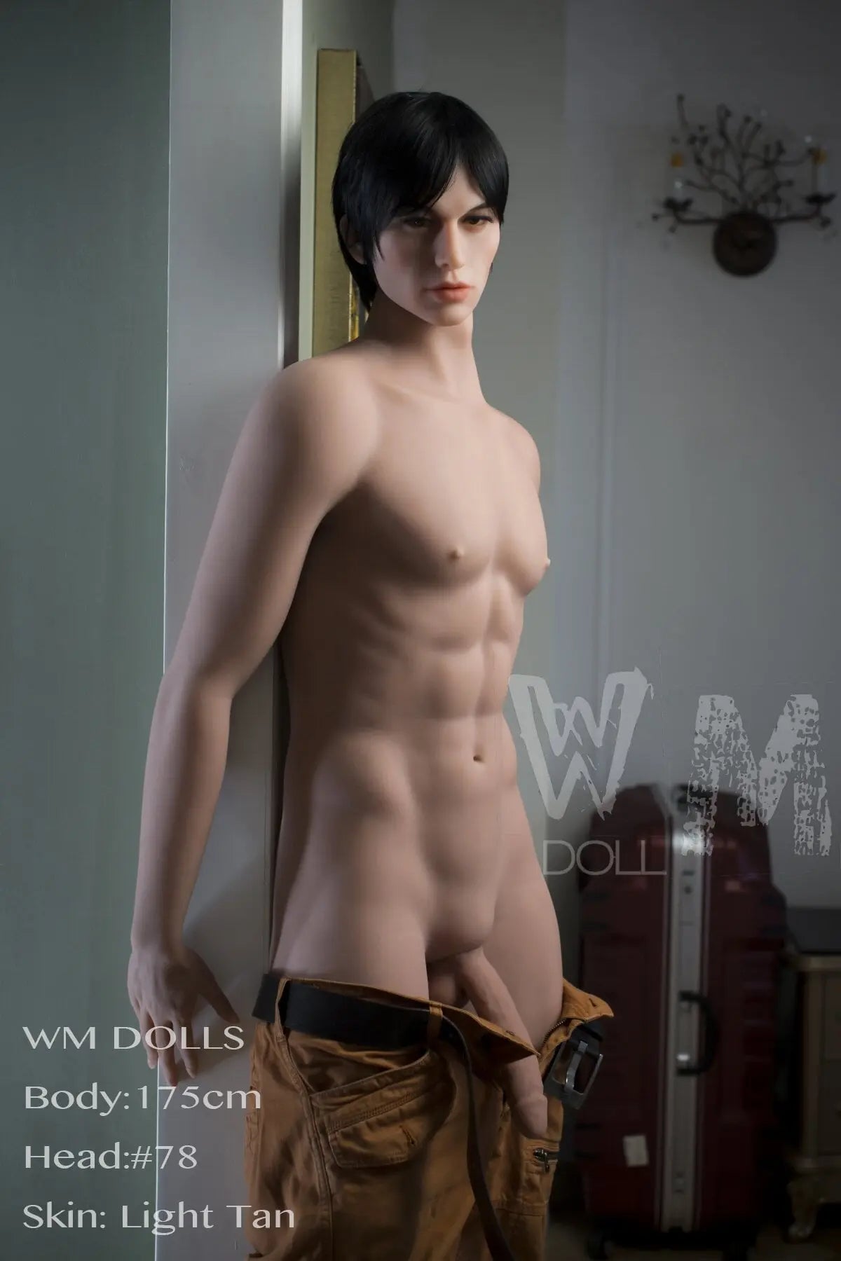 WM175cmwith_78head11