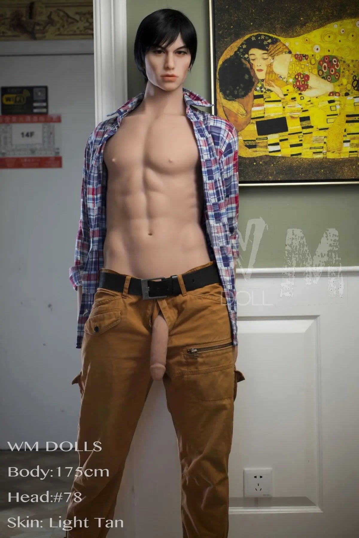 WM175cmwith_78head23